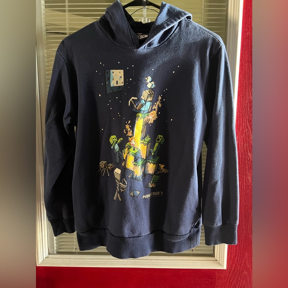 Minecraft Hoodie Designed by Jinx Youth Large